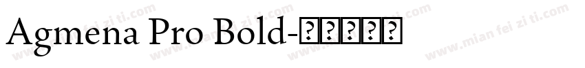 Agmena Pro Bold字体转换